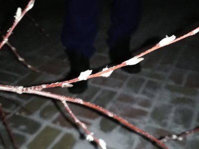 ������ ����: ����� ���������� � �����