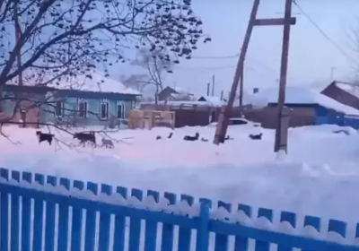 �������� ������ ������������ ������ ����������� � �������