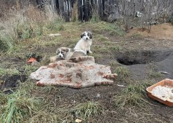 � ������� ������ �������� ����, ����� ������ ������