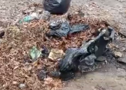 � ������� ������ ��������� ��� ������