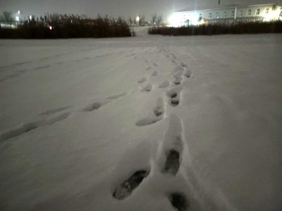 ��� � ��� ������� � �������� ����?