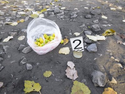 � ������� �������-���������� ����� ��� ���