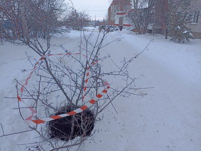 � ������� ����������� ��������� �������� �����