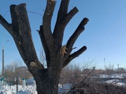 � ������� �������� ������� ��������