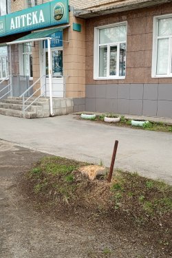 � ������� ������ ������� �������