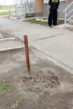 � ������� ������ ������� �������