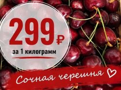 ����� ����: ������ ������� � 299₽ �� ����!