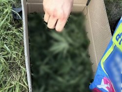 � ������� ����������� ��������� �������� �������