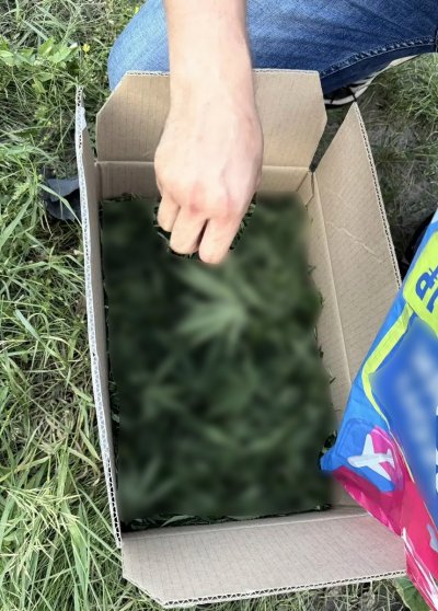 � ������� ����������� ��������� �������� �������