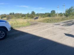 � ������� ���������� �������� ����� � ���