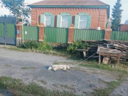 � ������� ������ ������ ����� �����, �� ���� �������