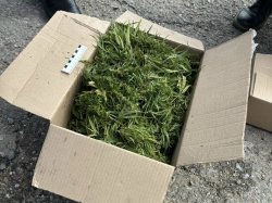 � �������� ������ ��������� ������� � ��������