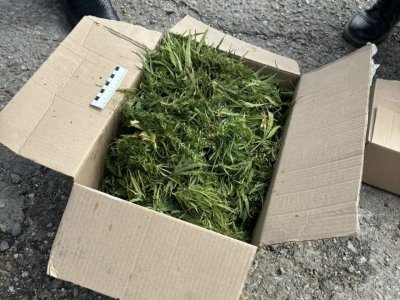 � �������� ������ ��������� ������� � ��������