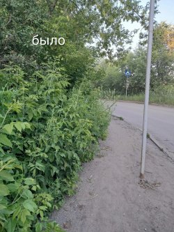 ������ �. �������� ������ ������� � ����� ������
